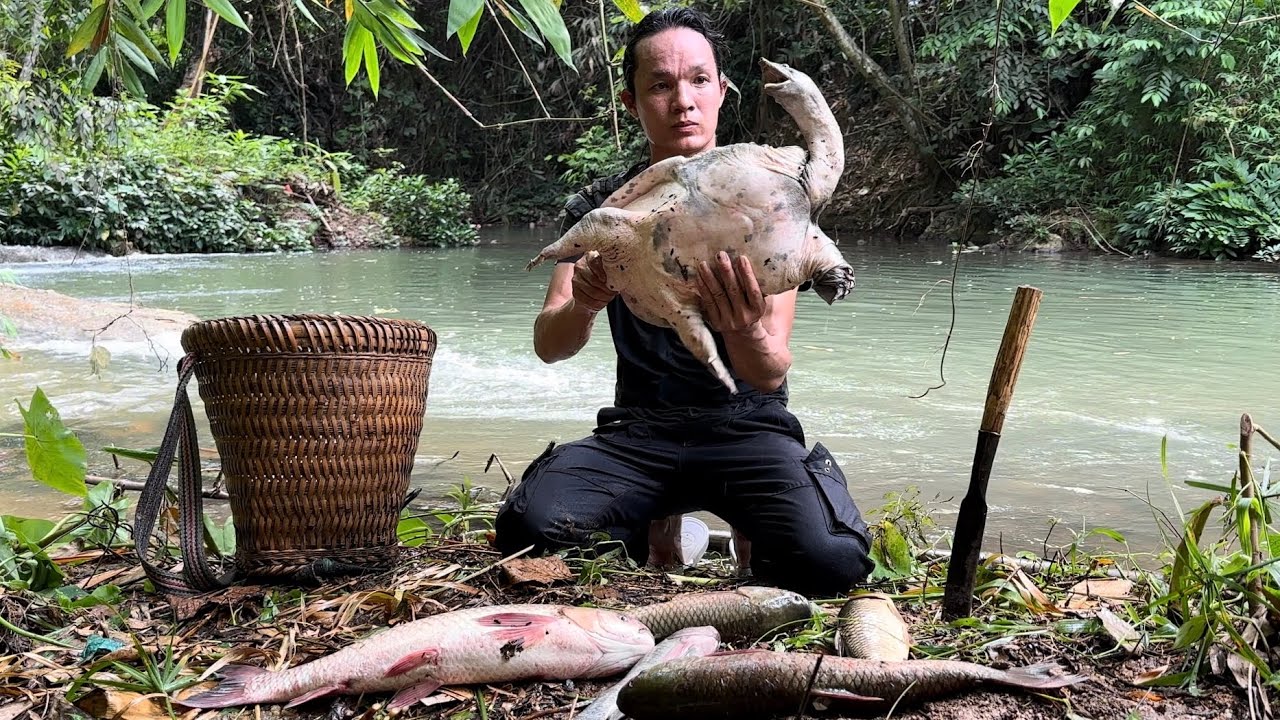 Visit the trap, One lucky day , vang hoa