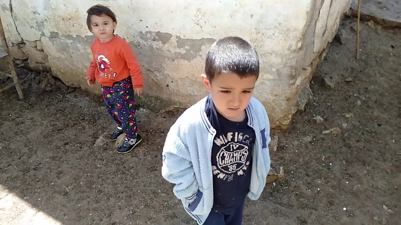 Sincansarniç mahlesi