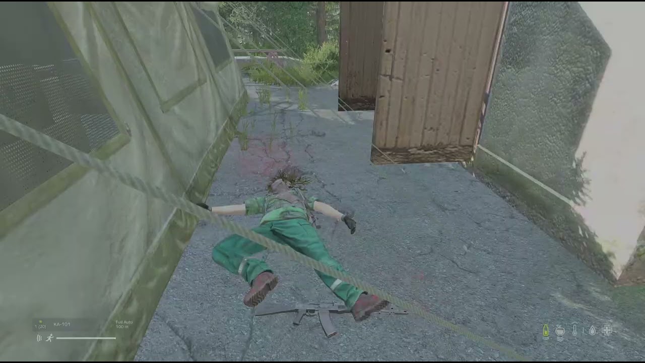 DayZ