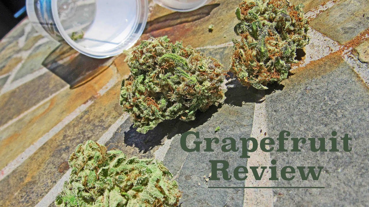 Grapefruit - Strain Review