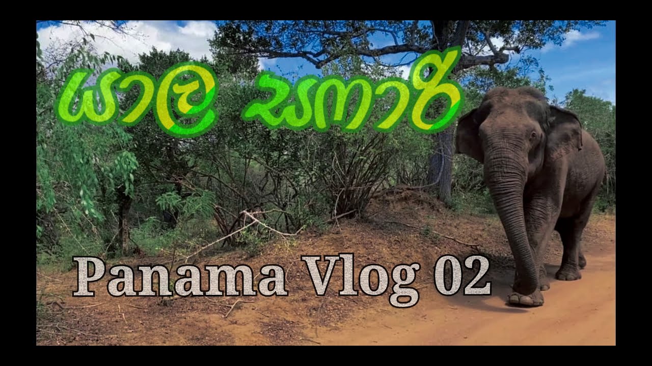Yala Safari (යාල සෆාරි) - Panama Vlog 02