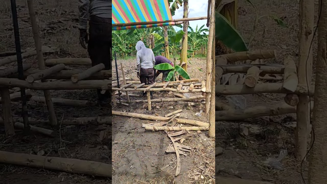 Sa wakas malapit na pong matapos ang aming purok na munting silungan sa tag-ulan at tag-araw.