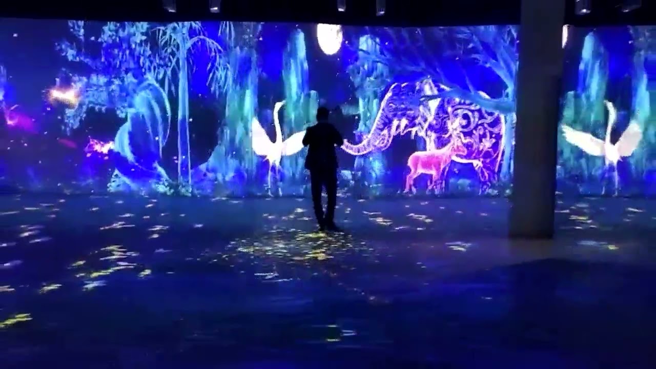 interactive 3D  cave system projection VR/AR developed by DEFI TECH LTD