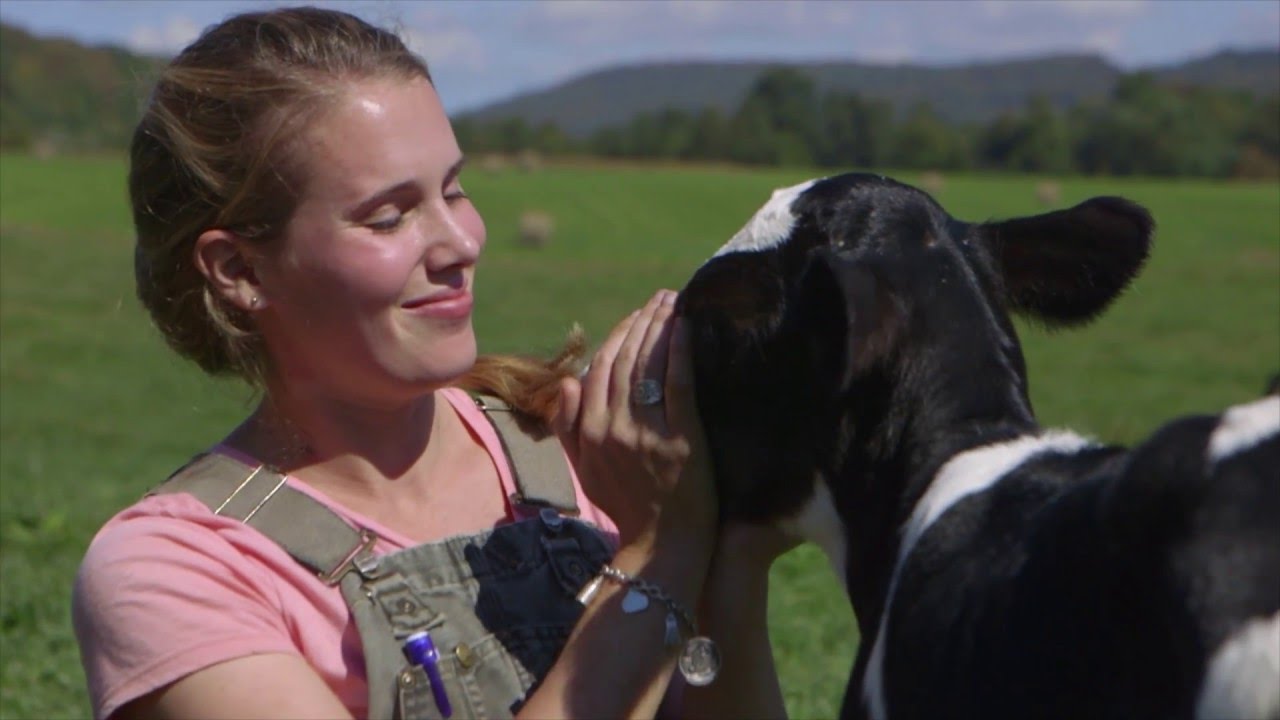 Chobani Animal Welfare