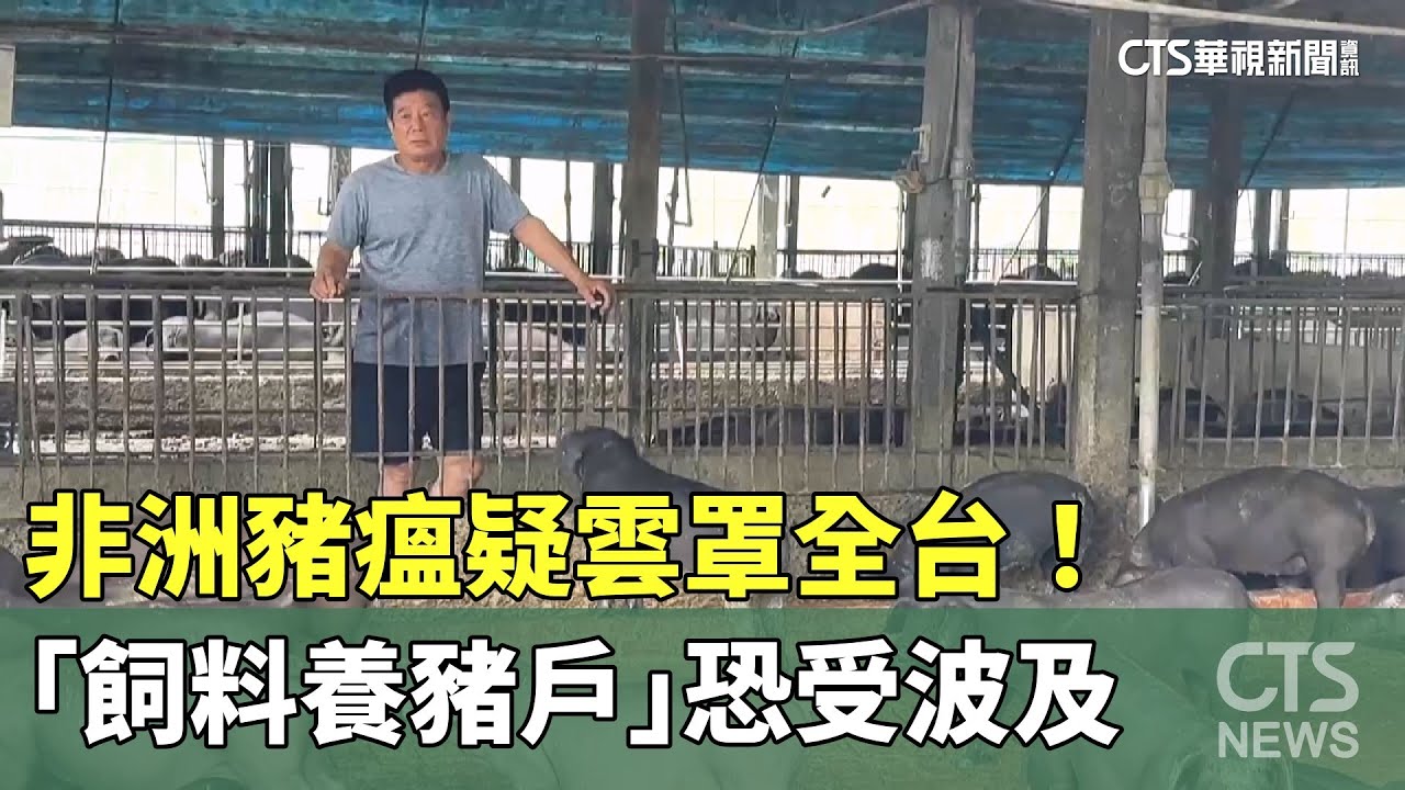 非洲豬瘟疑雲罩全台！　「飼料養豬戶」恐受波及｜華視新聞 20251023 @CtsTw