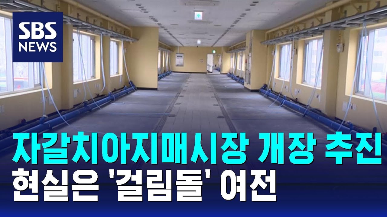 자갈치아지매시장 개장 추진…현실은 '걸림돌' / SBS