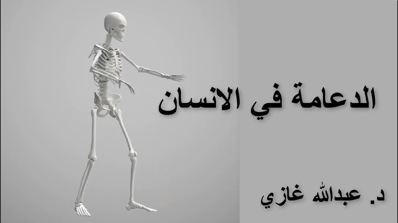 الدعامة في الانسان | احياء الصف الثالث الثانوي
