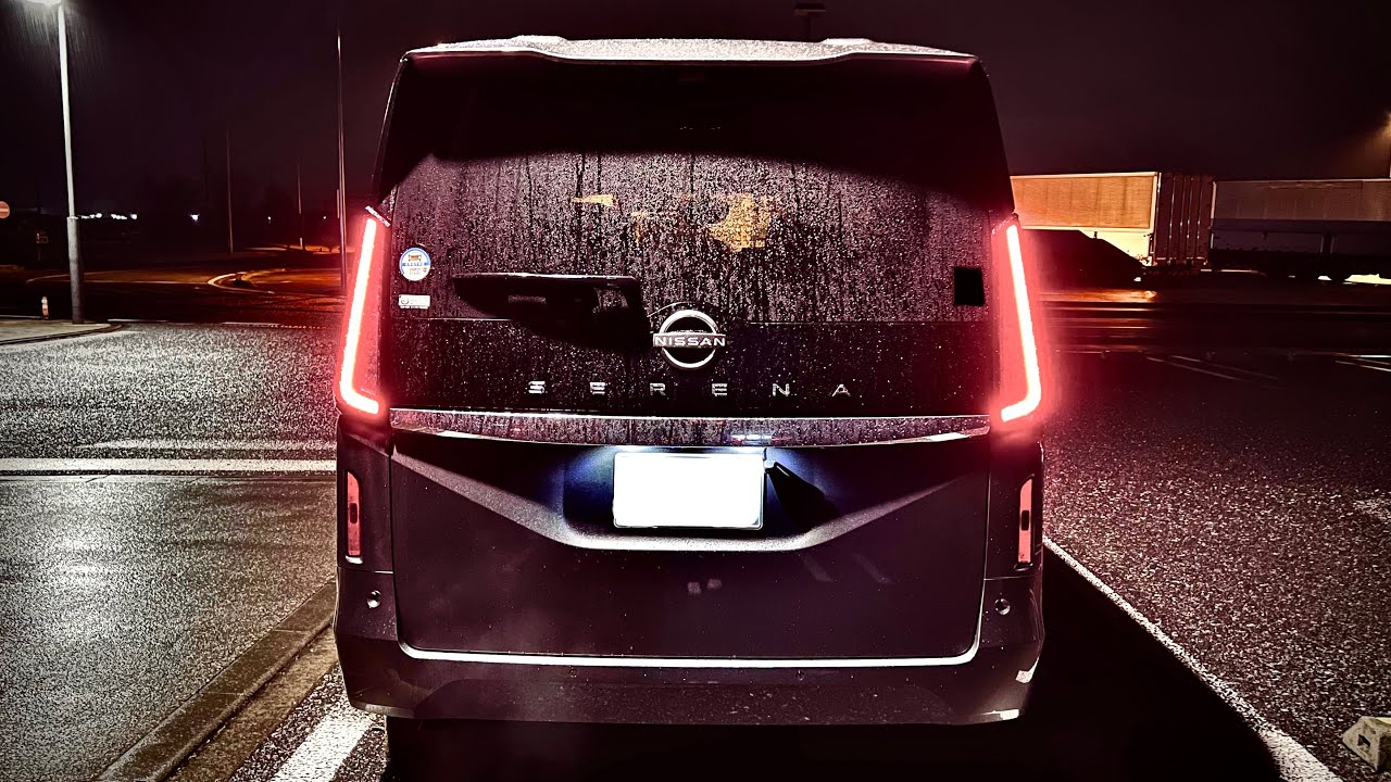 【part3】NISSAN SERENA 深夜 曇り時々雨の新4号BP 幸手駅→道の駅しもつけ 完結編 ドライブ車載動画  