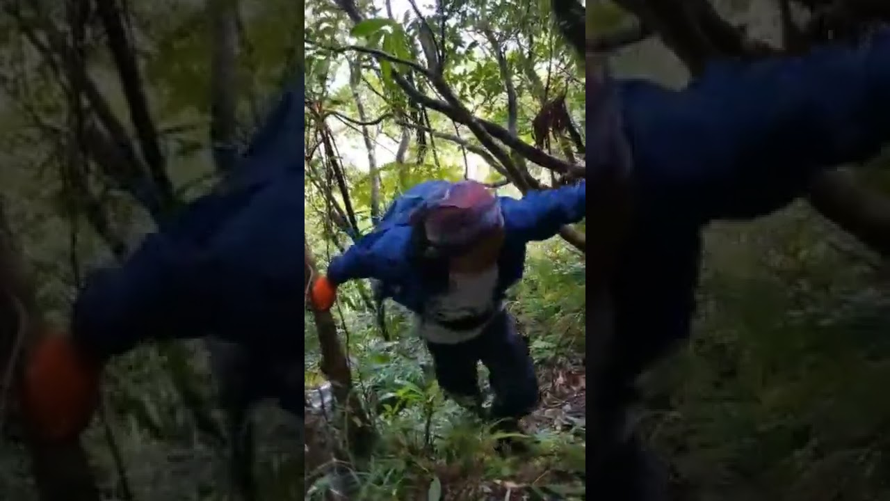 S18: #shorts Booby Traps Found During Mt. Bulusan Hike #irosin #MtBulusan #conqueryourfear
