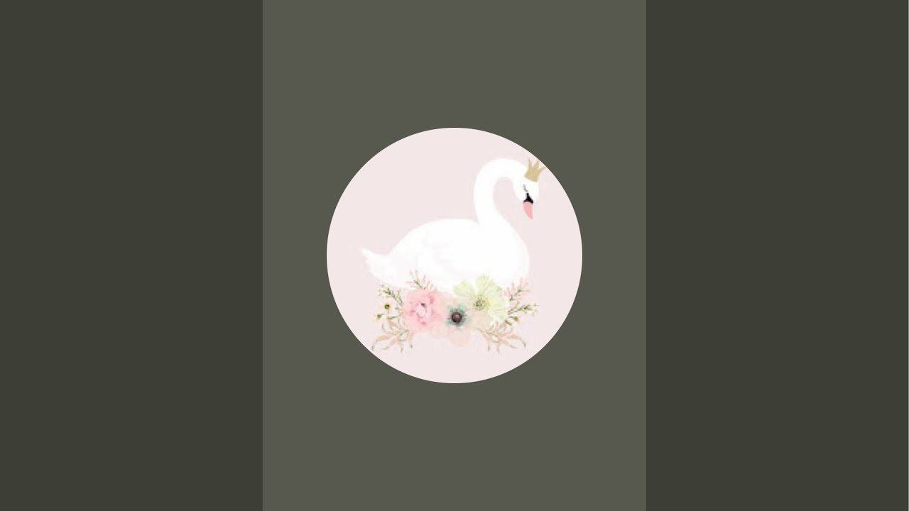 Macis szett választós LIVE 🐻