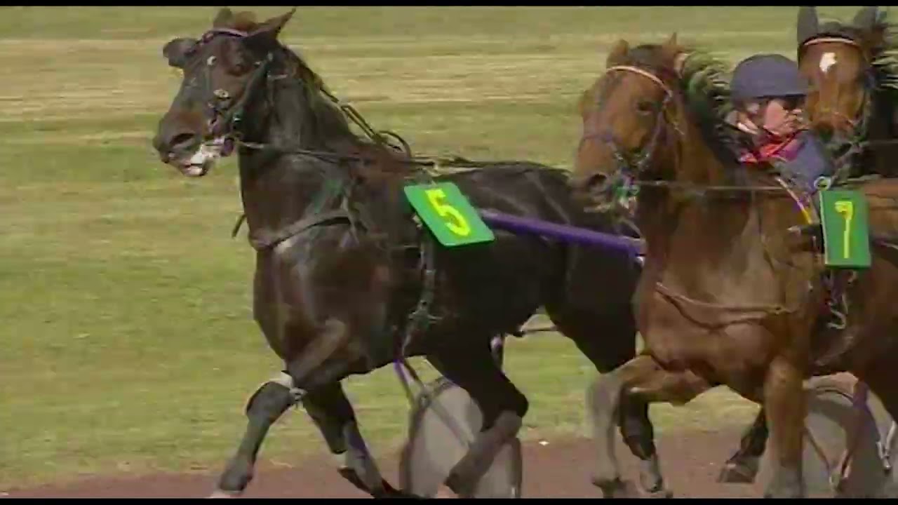 Grand Prix Anjou-Maine 2008 - Hippodrome d'Angers - Licencié du Vif - H. Sionneau