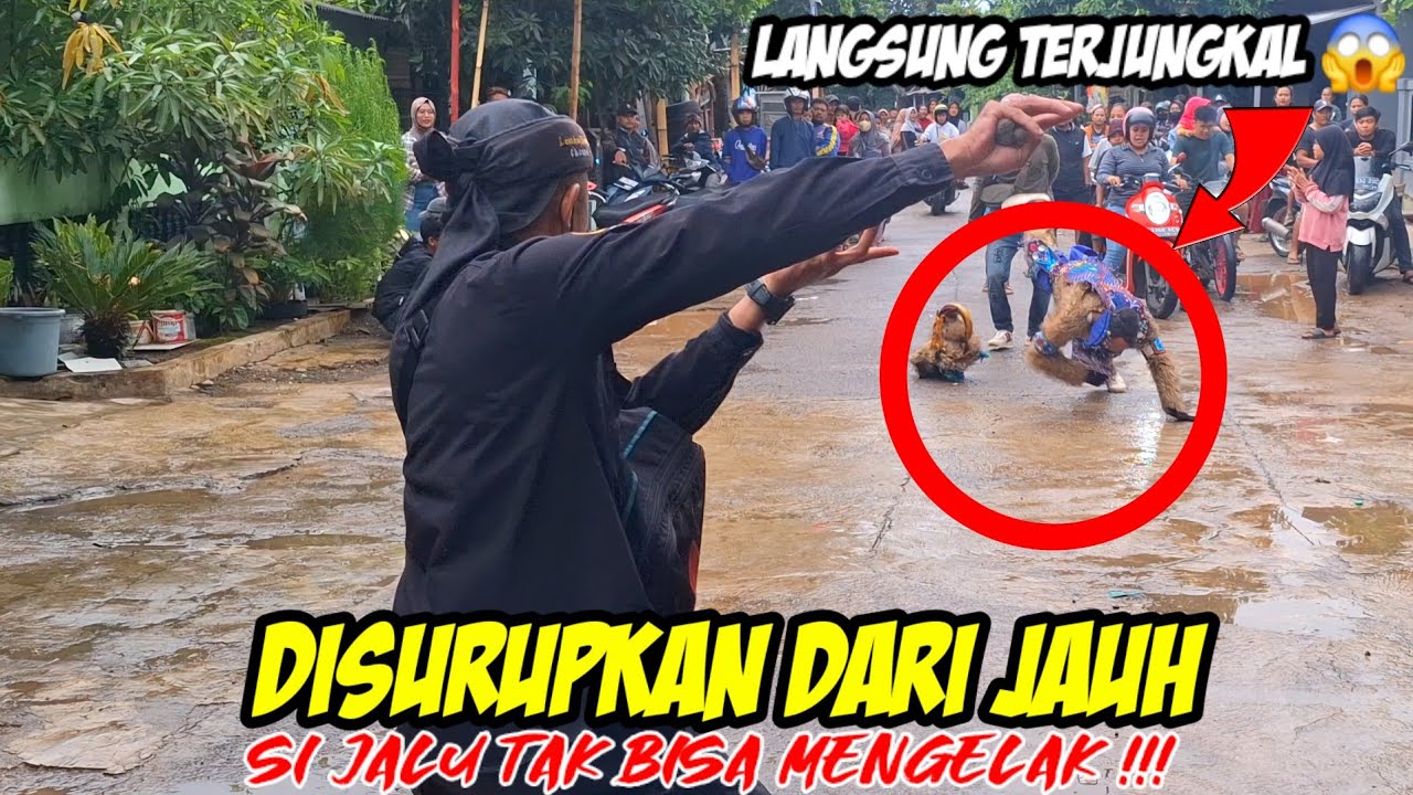 KEHEBATAN PAWANG PUTRA PAK ASEP❗️❗️HANOMAN KUDA LUMPING TERSUNGKUR SEMUA 💥 MSP DI SAPAN SESKO