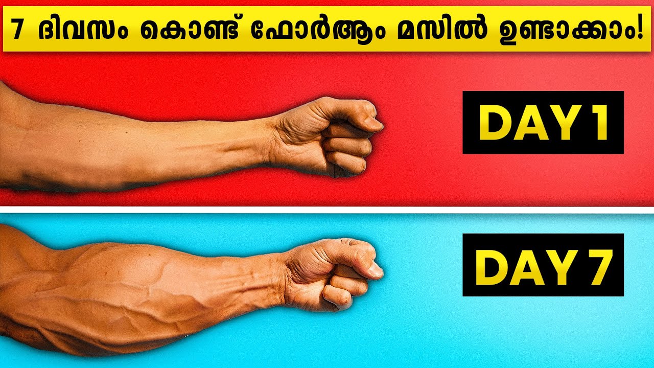 7 ദിവസം കൊണ്ട് ഫോർആം മസിൽ ഉണ്ടാക്കാം! | Strong Forearms & Grip Strength