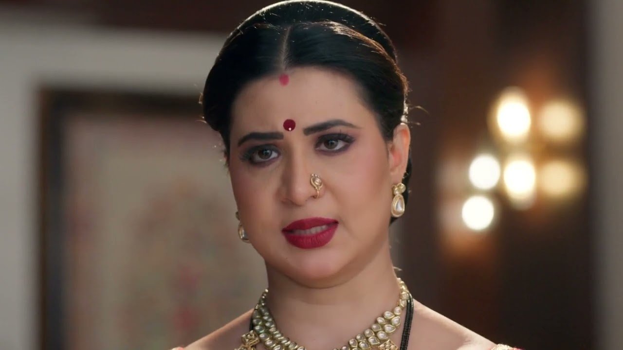 Vasudha | Ep - 376 | Webisode | Nov 05 2025 | Zee TV