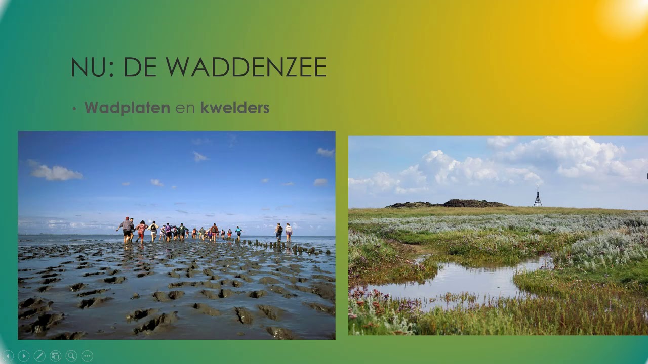 Instructievideo H6   Paragraaf 1   Waddenzee   Nu