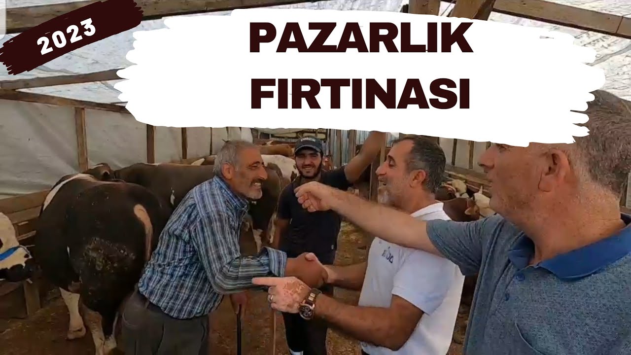 Pazarlık Fırtınası Koptu | 2023 Kurbanlık Fiyatları