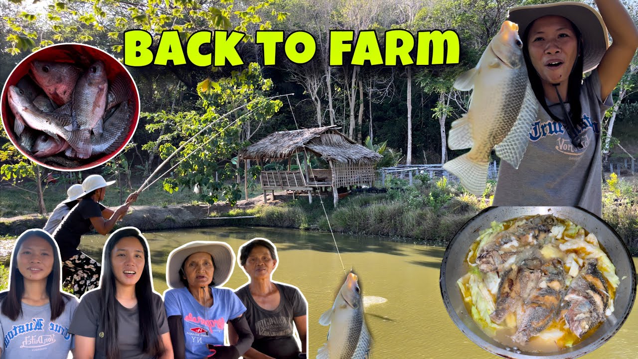 Giant tilapia nakawil ni auntie pasing | Ang pagbabalik sa probinsya | Buhay Probinsya