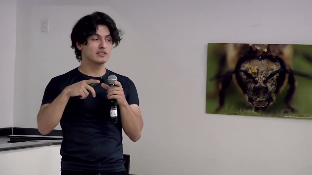 MORFOLOGÍA Y TAXONOMÍA DE INSECTOS