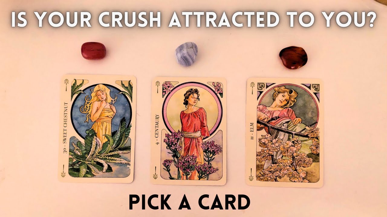 IS YOUR CRUSH ATTRACTED TO YOU? - 🔮 Tarot🔮 - Pick a Card