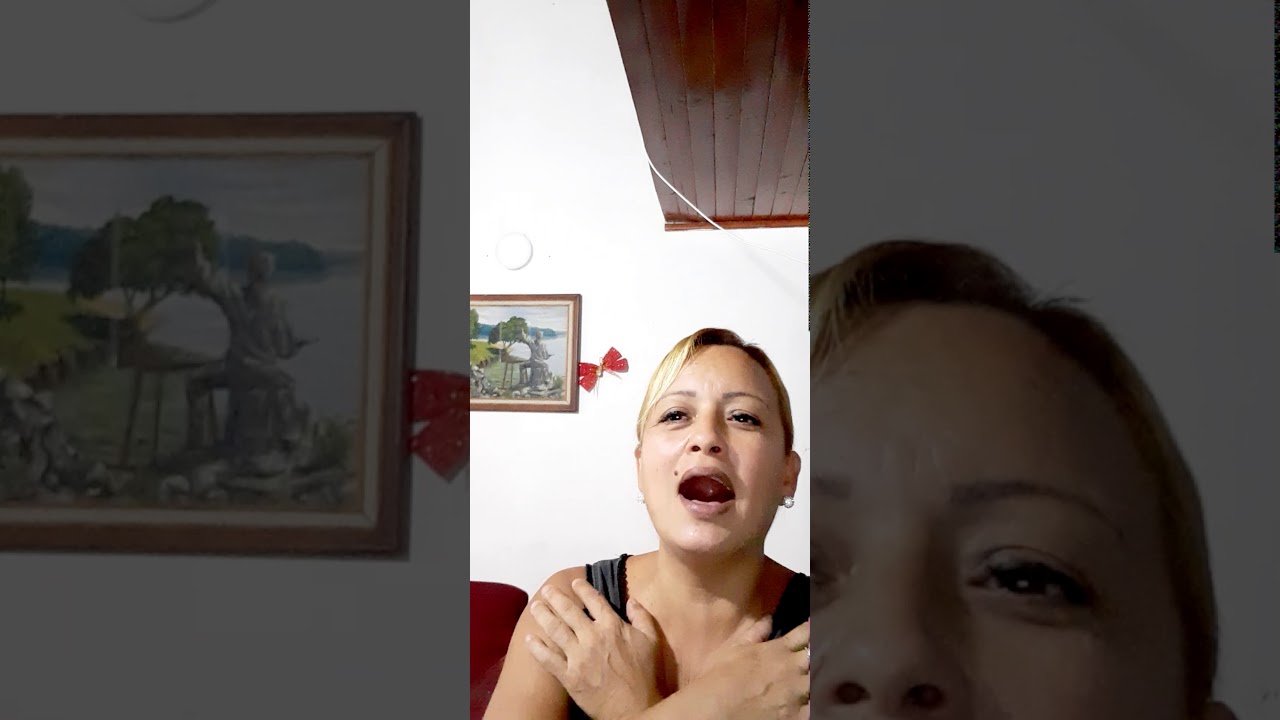 VOLVEREMOS A BRINDAR