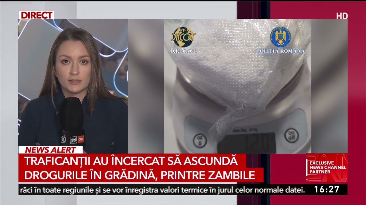Traficanții au încercat să ascundă drogurile în grădină, printre zambile