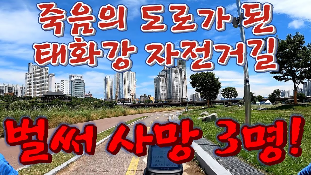 올해 사망 3명... 죽음의 도로가 된 울산 태화강 자전거 도로!