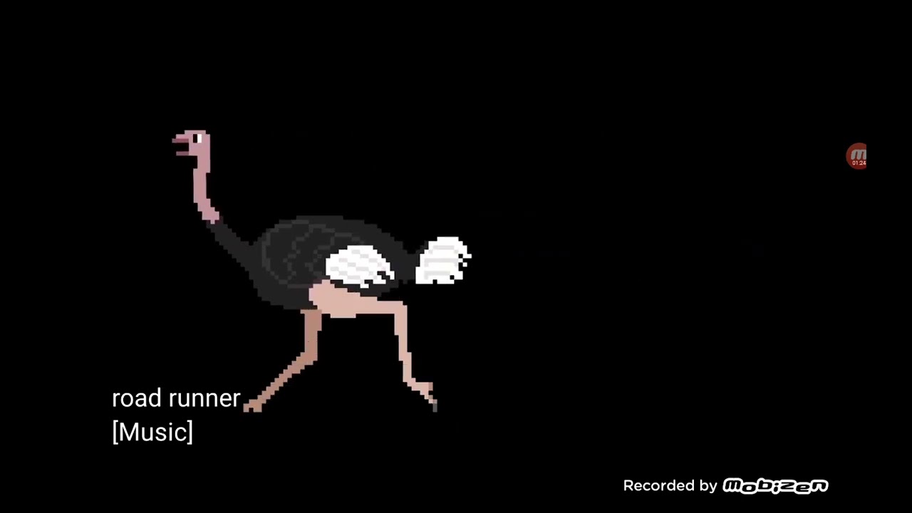 Birds Fixed - @TheKidsPictureShow