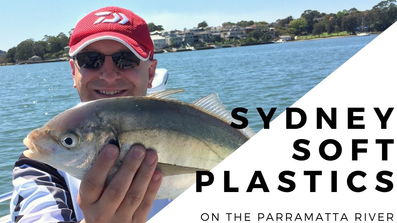 Soft Plastics Fishing in Sydney