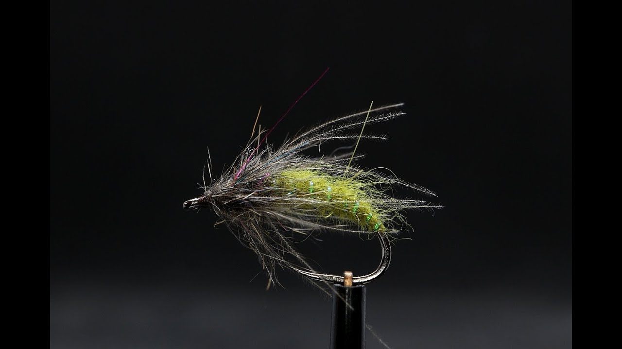 Green Pupa