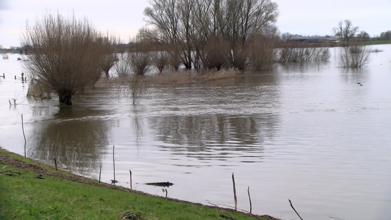 Hoog water IJssel brengt veel ongemakken met zich mee