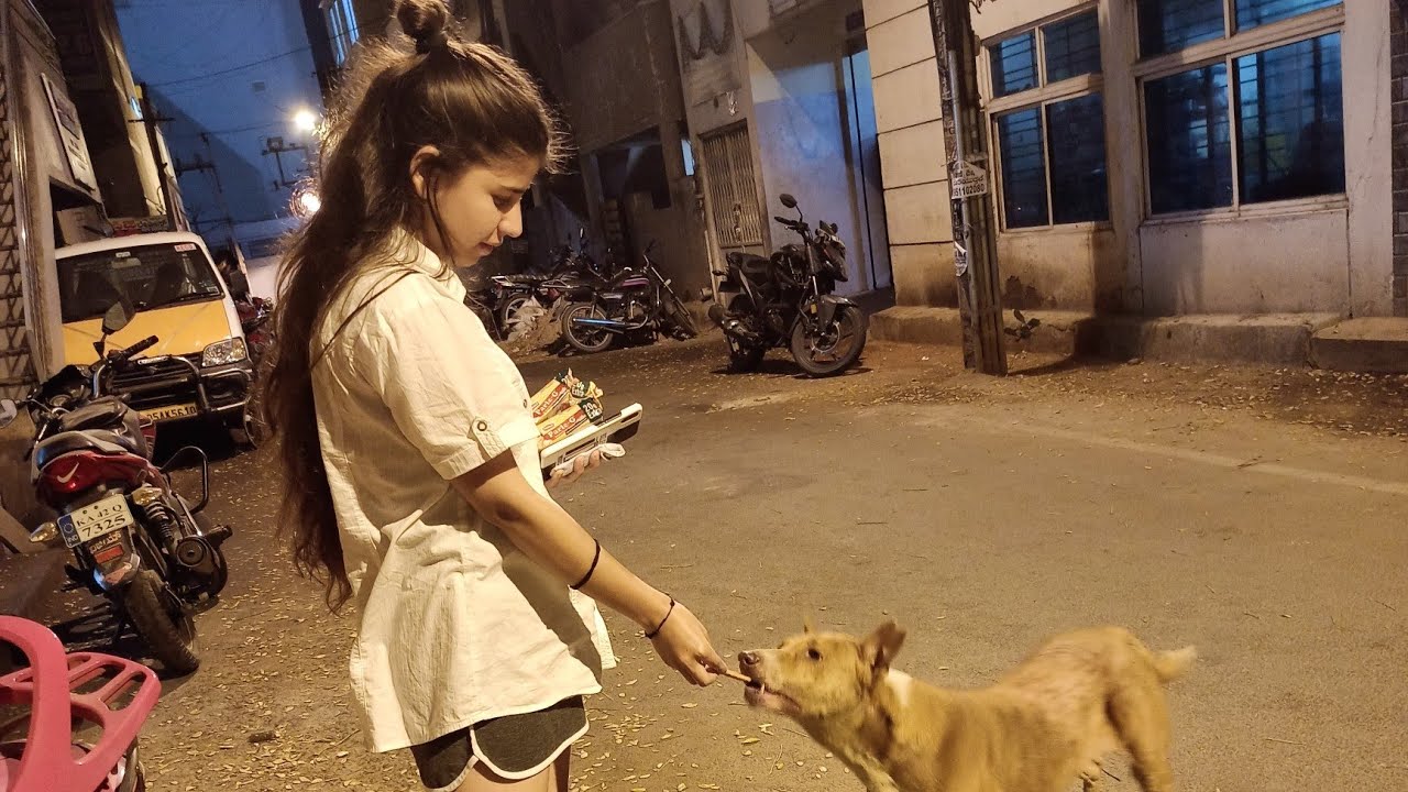 Stripy family❤️ | Btm street dogs| chandra Dangwal| bangalore vlogs