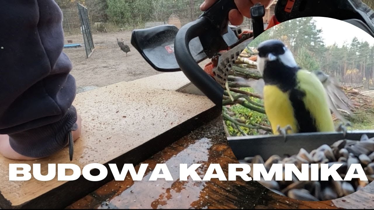 Robię karmnik dla ptaków od A do Z