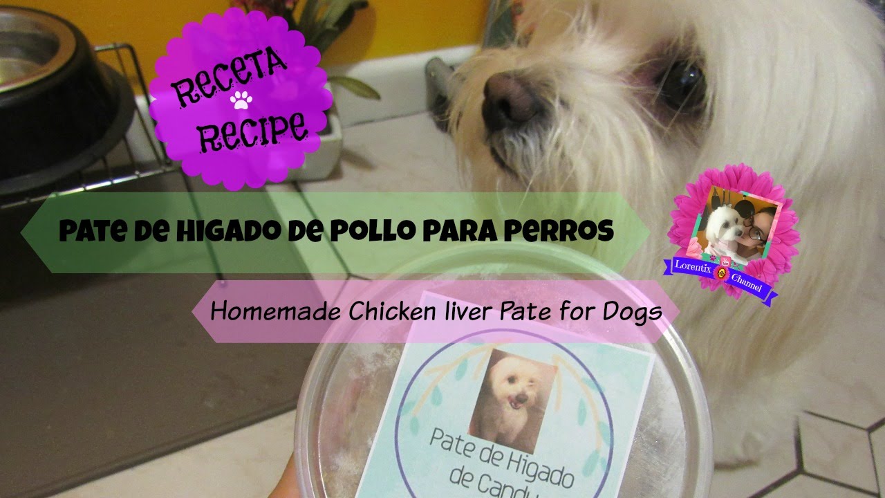 Prepara pate de higado a tu perro_Homemade chicken liver for dogs, Coton de tulear I Lorentix
