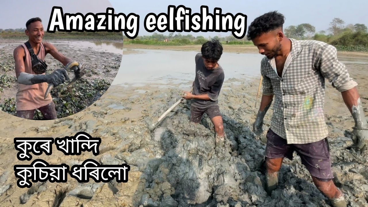 আজি কুচিয়া কেনেকৈ ধৰিলো চাওক/Amazing eelfishing video/Vlog video 