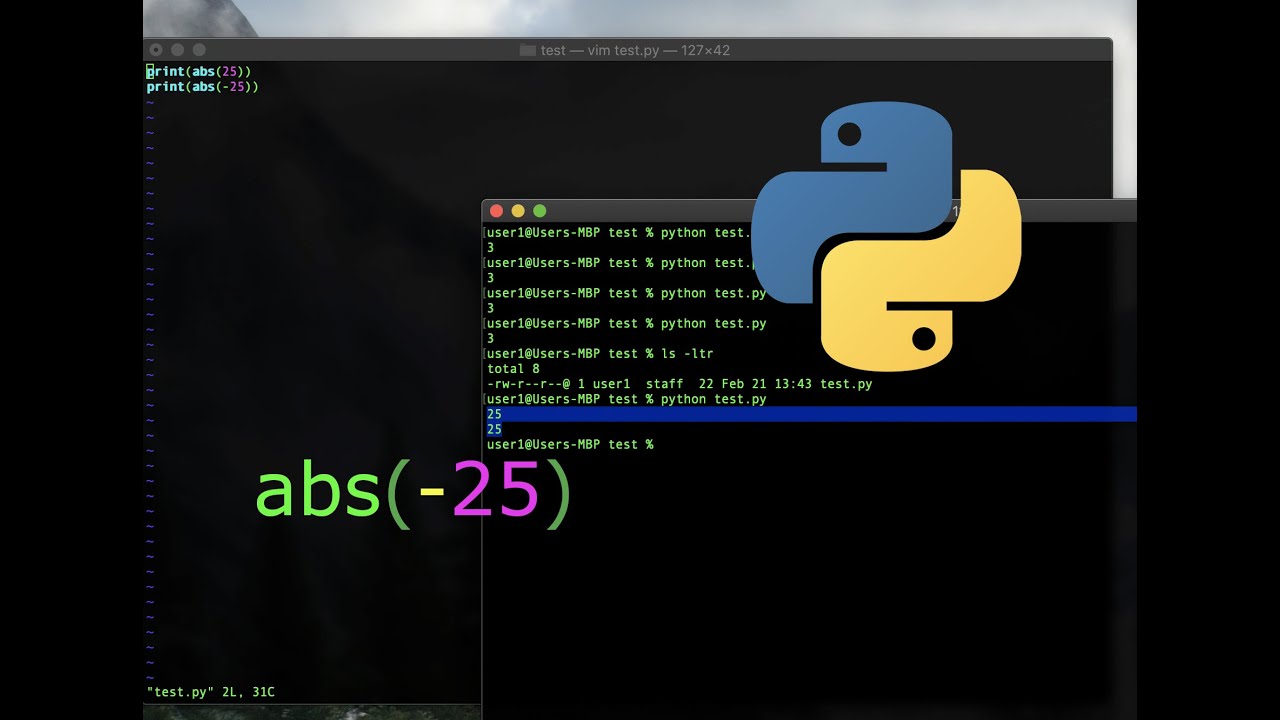 Python Absolute Value