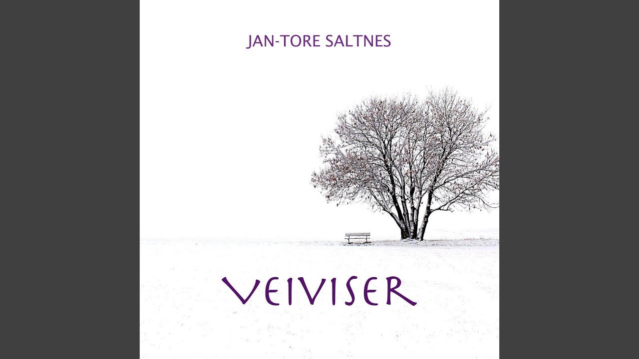 Veiviser