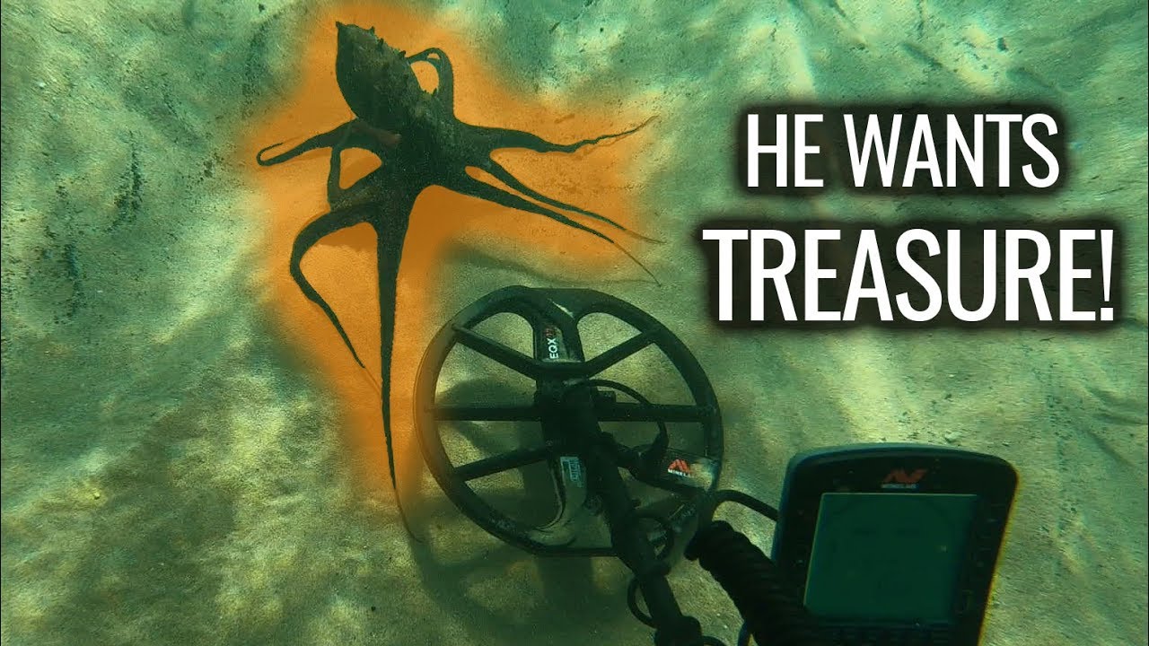 Treasure diving with the Minelab Equinox (Part II)
