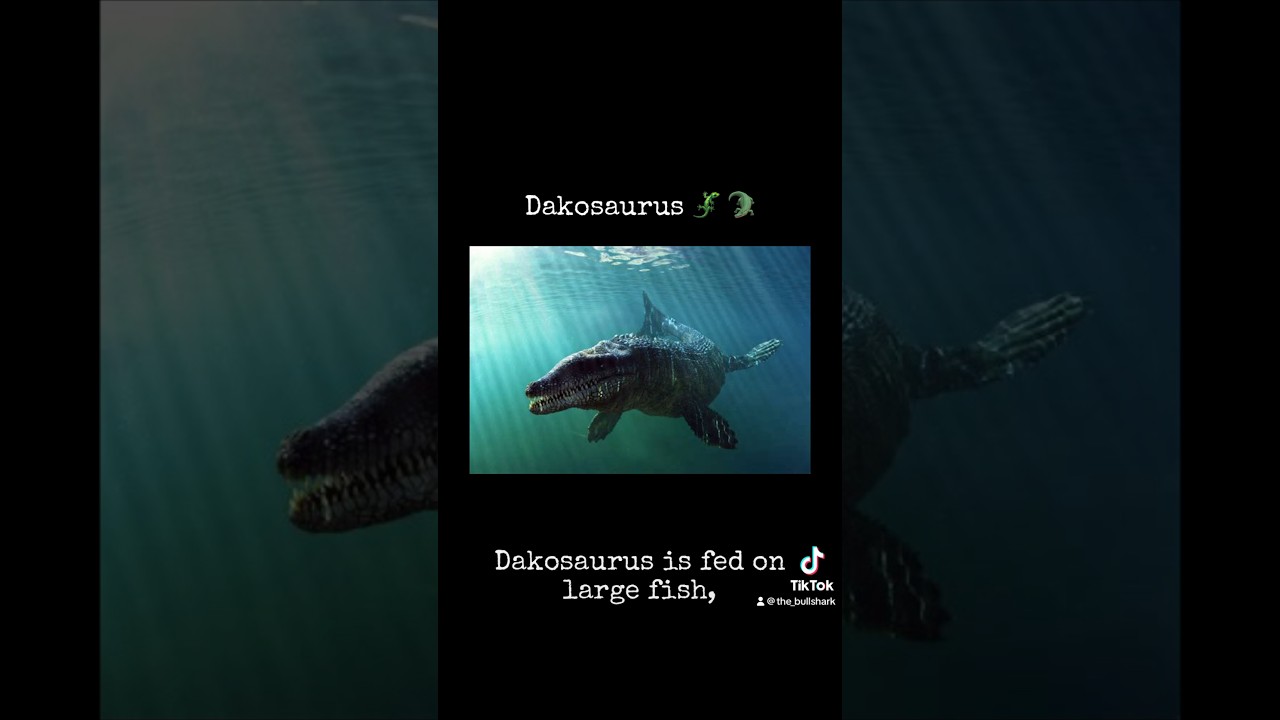 The Dakosaurus 🦎 🐊 #ocean #seaanimals #dinosaurs #dinosaur #reptiles #ancient #prehistoric