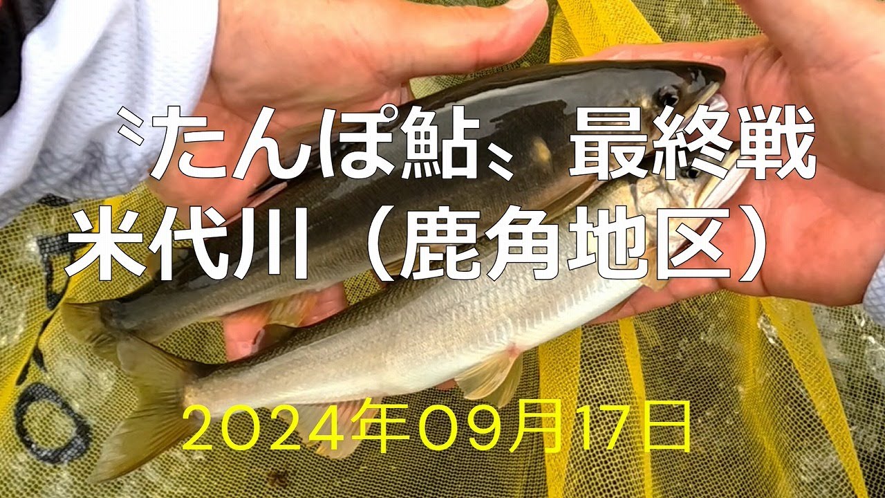2024年たんぽ鮎最終戦米代川（鹿角地区）