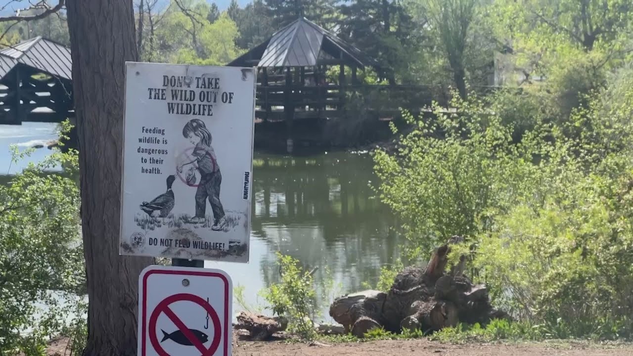 Residents lose fight against new apartment building near Belmar Park