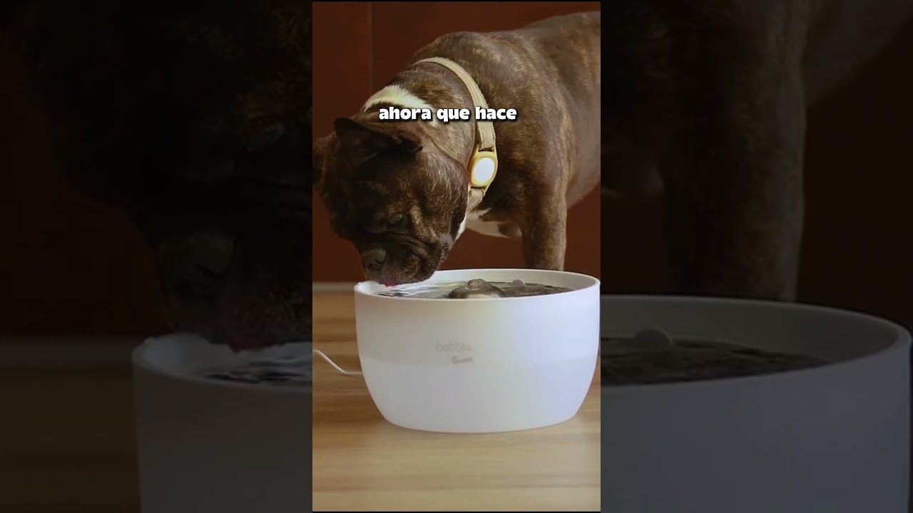 Cuida su agua como cuidas la tuya.