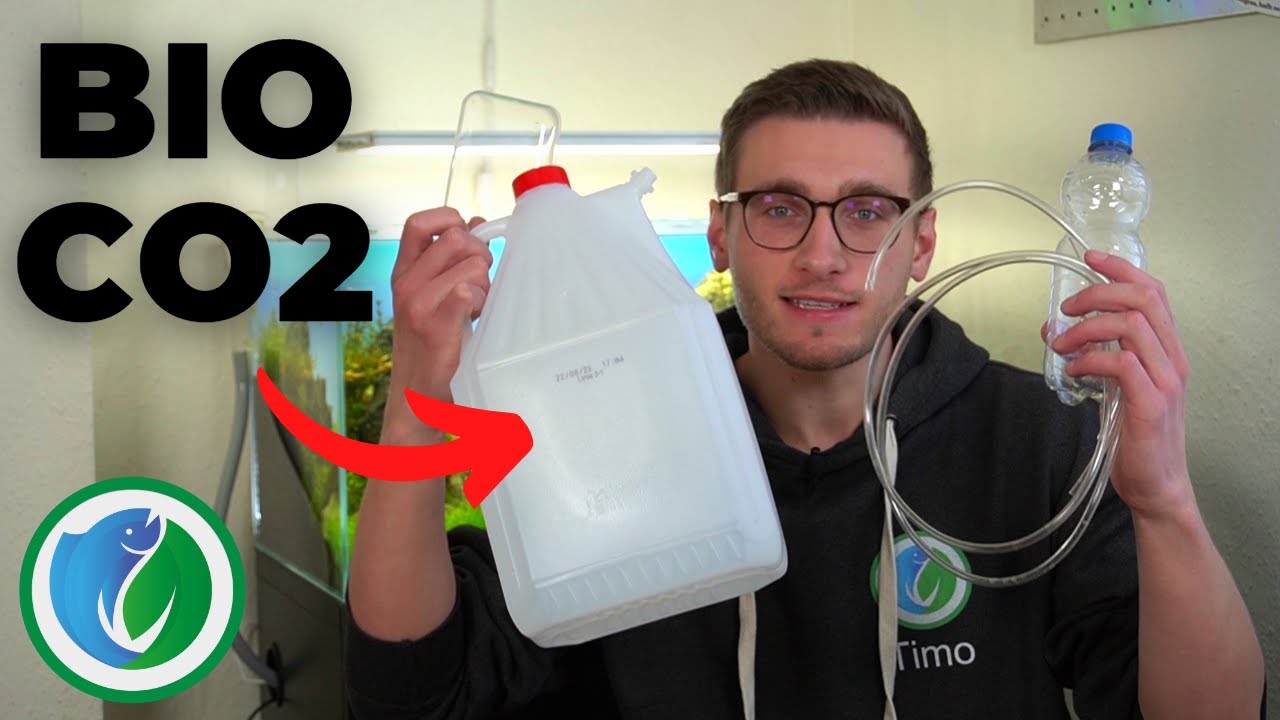 Bio CO2 Anlage selber bauen - Anleitung