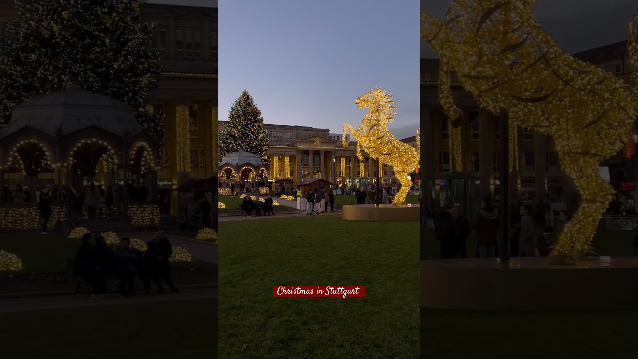 Christmas day on Schlossplatz, Stuttgart #germany #christmas #christmastree 2024
