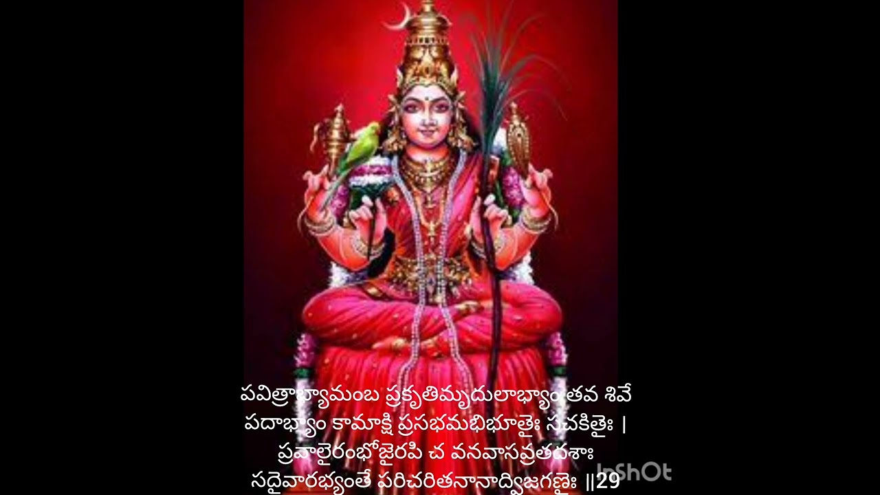మూకపంచశతి : పాదారవింద శతకం  29 వ  శ్లోకం మరియు భావము.