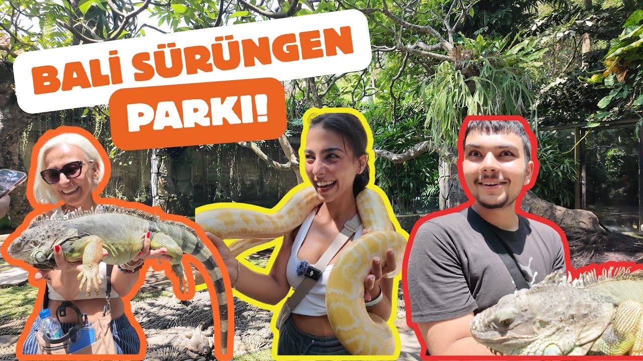 Bali Vlog | Yılanlar, kertenkeleler ve timsahlar!