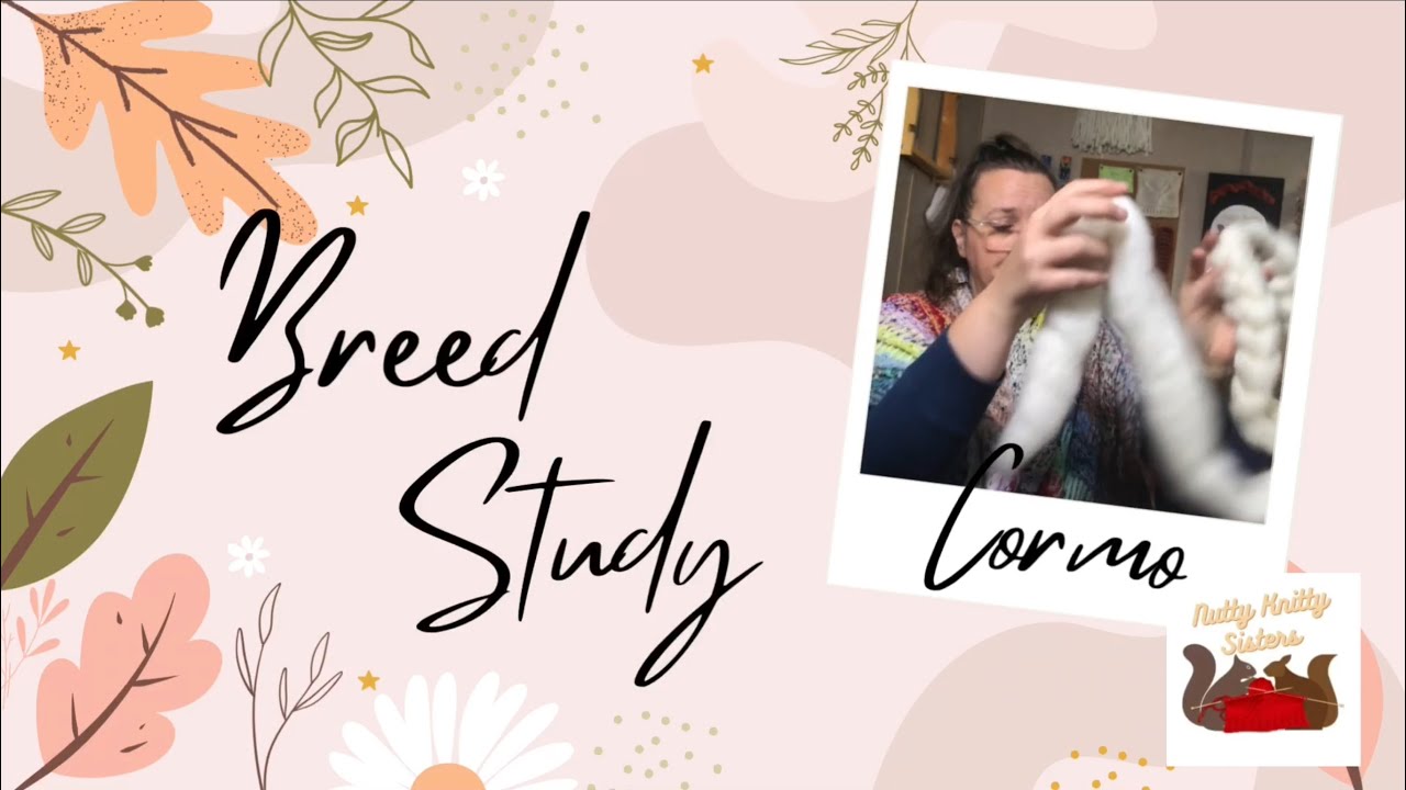 Breed Study - Cormo