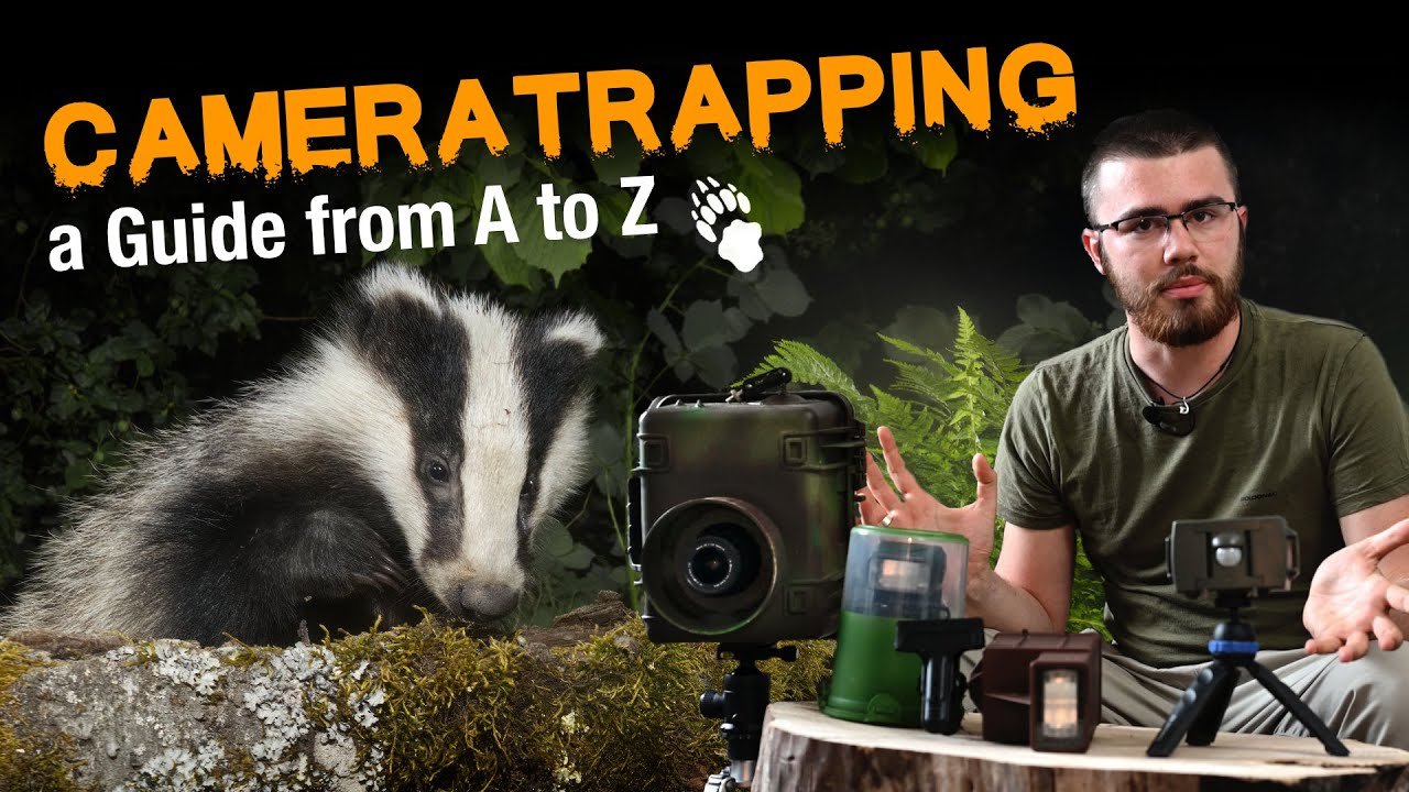 DSLR-Cameratrapping Wildlife Beginners Guide: Everything you need to Know!