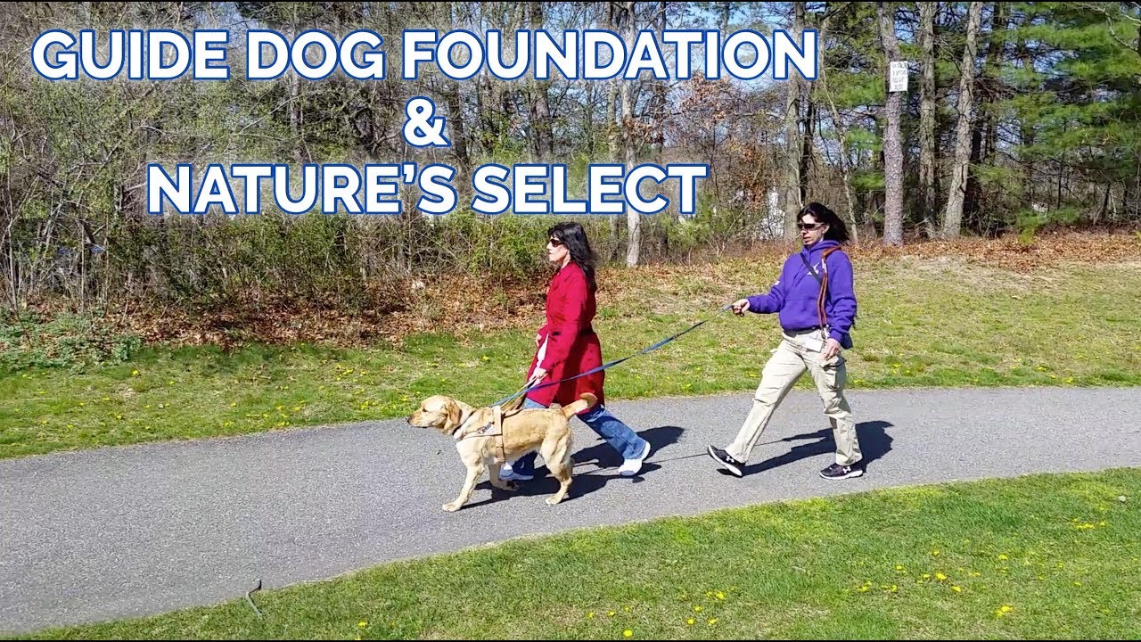 Guide Dogs Prefer Nature’s Select Pet Food