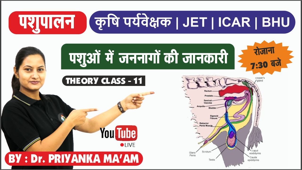 ANIMAL HUSBANDRY || पशुपालन || JET COACHING || THEORY CLASS - 11 || JET/ICAR/BHU/SKNAU JOBNER ||
