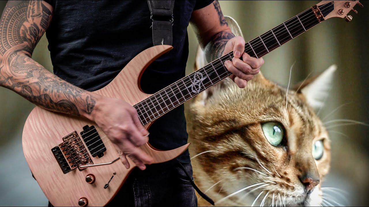Stars & Ponies - Cat Play Through
